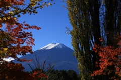 富士山と紅葉