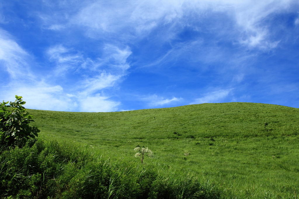 高原の空