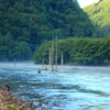 涼しさ漂う清流