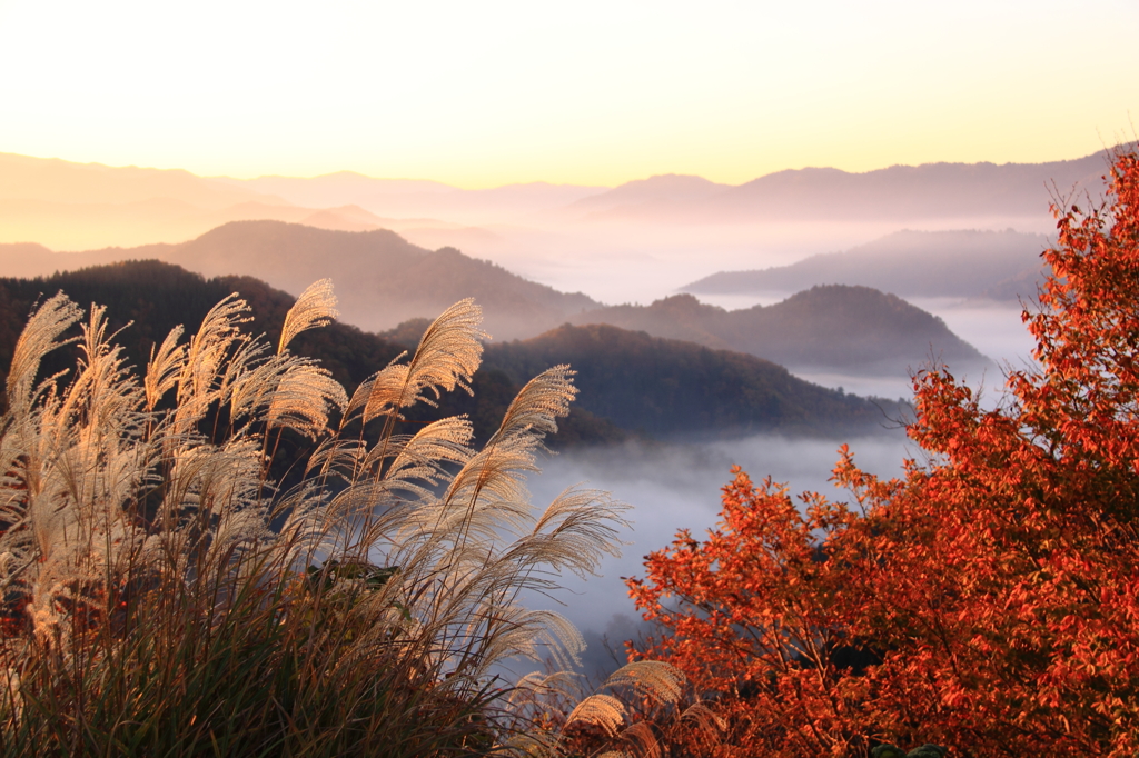 晩秋の絶景