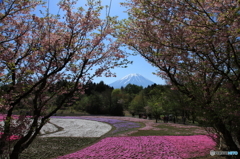 垣間見る富士②
