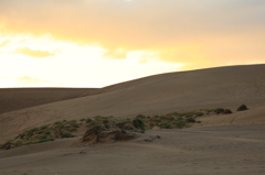 砂丘の日の出