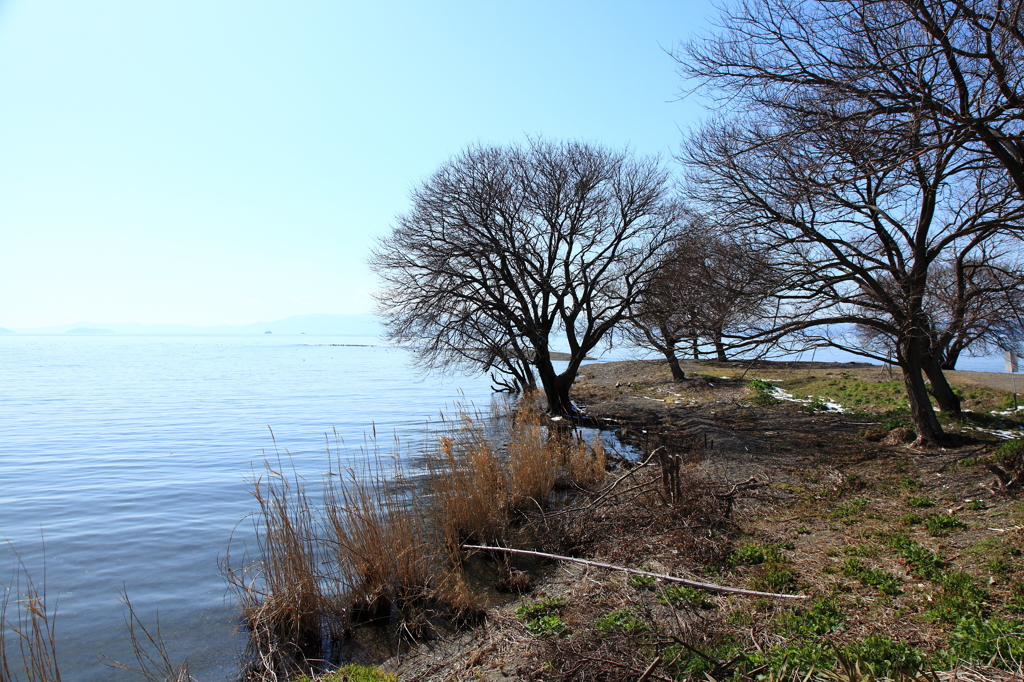 春を待つびわ湖