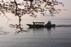 桜と船