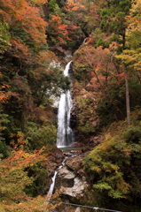 不動滝の紅葉