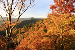 山の鮮やかさ