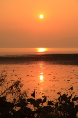 心にしみる夕焼け