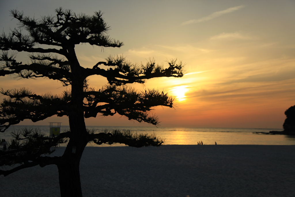 夕景