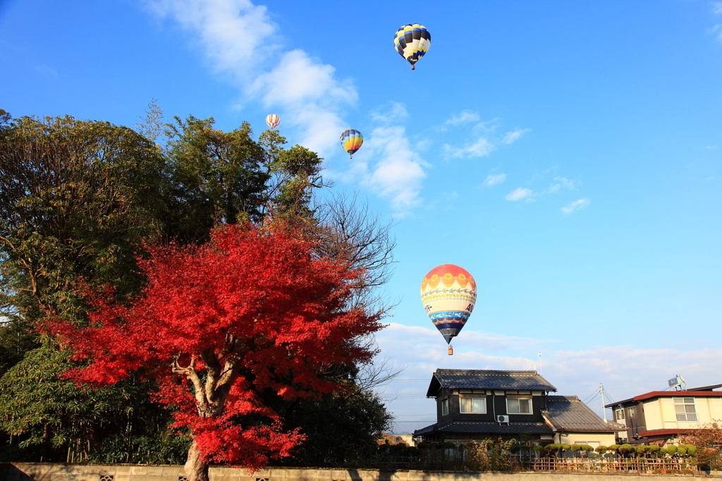 秋空に浮かぶ