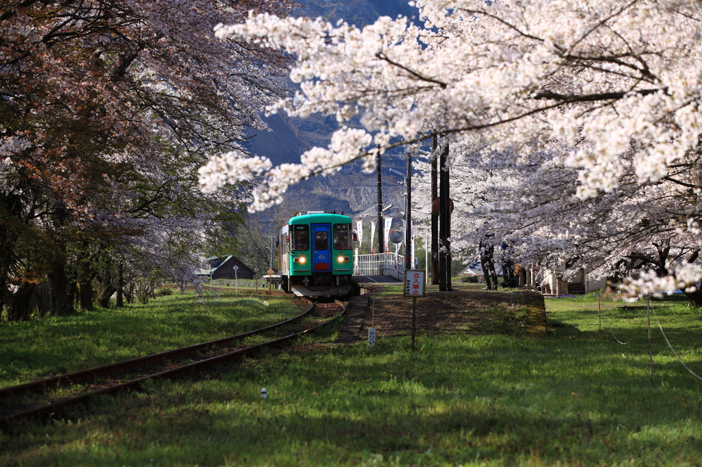 桜の駅