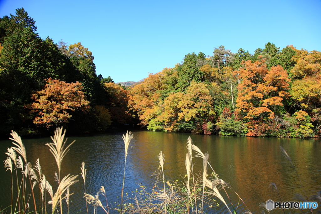 紅葉池