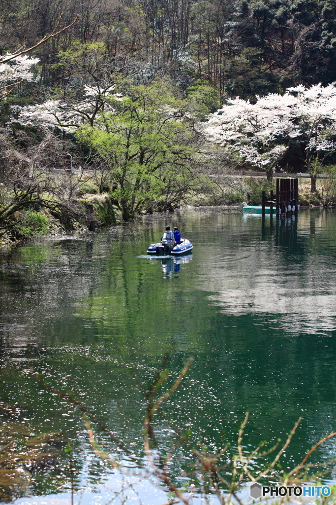 春の釣り②