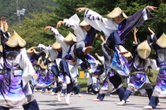 あっぱれ祭り（よさこい⑤）「ウエーブ」