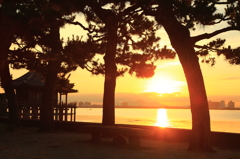 日本の朝