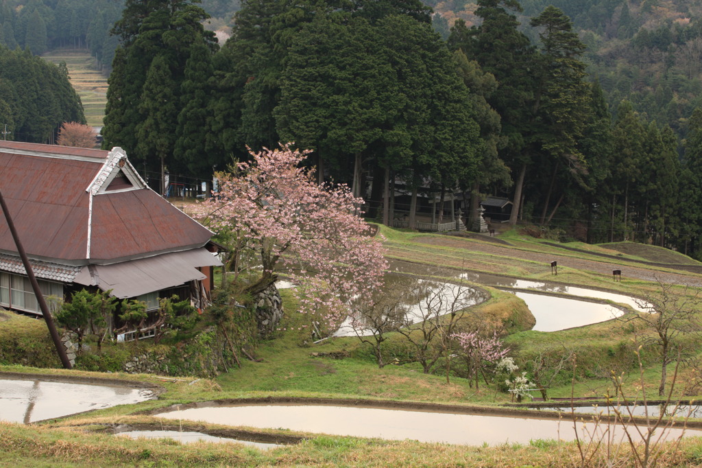 山村の遅い春
