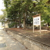 不思議な光景