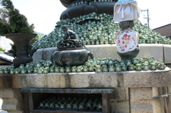 沢山の願い