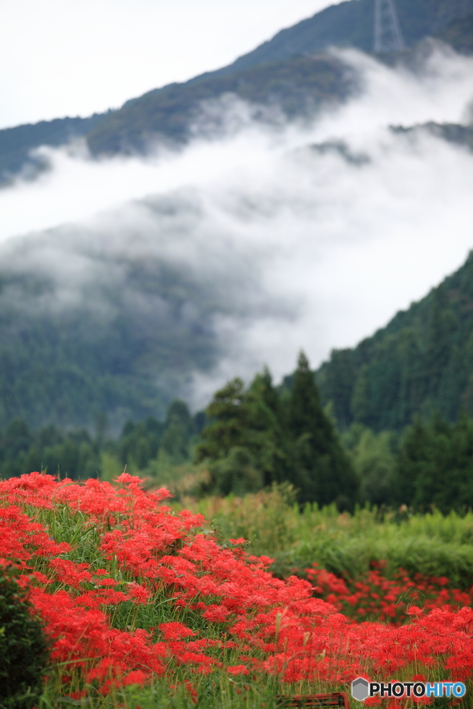 山里の秋