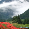 山里の秋