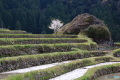 棚田の巨石