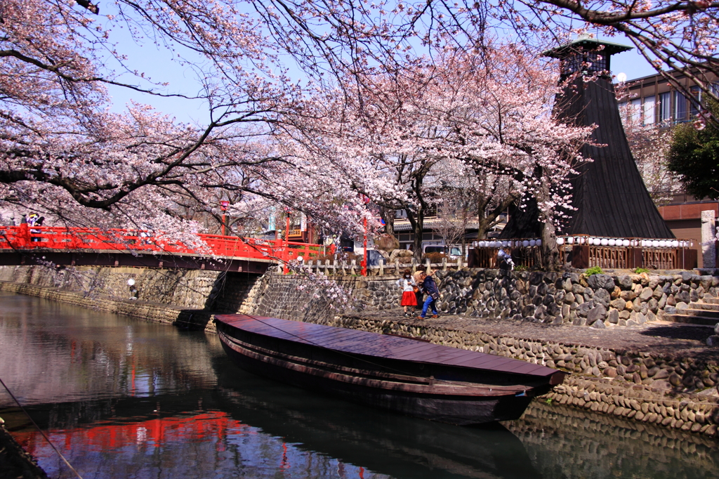 桜に似合う風景