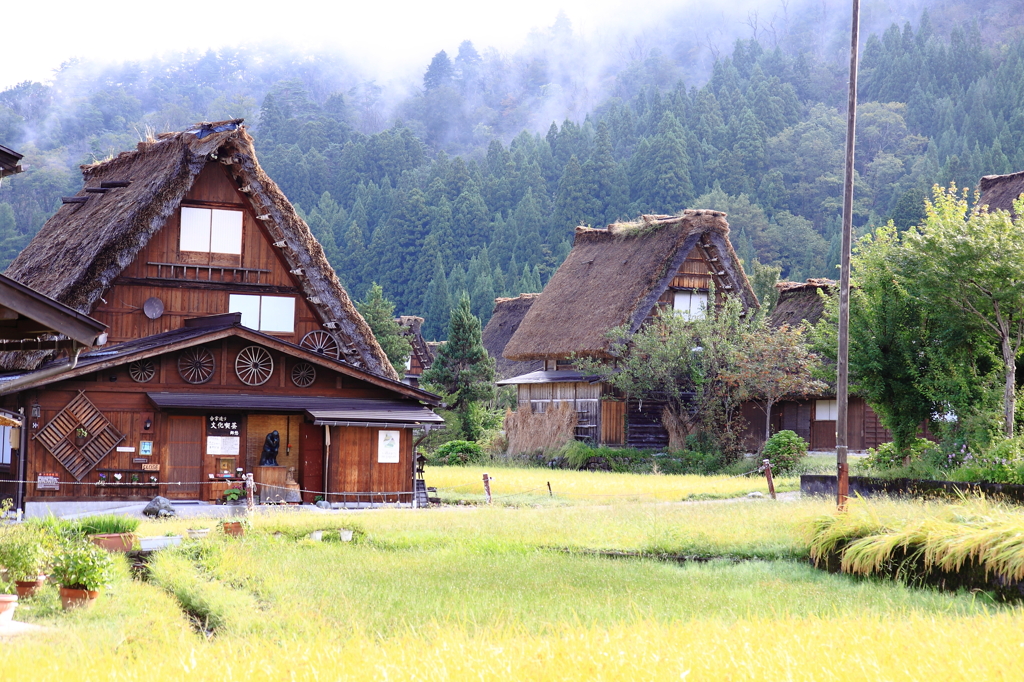 朝霧の白川郷