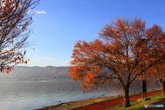 秋の湖岸