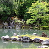 夏の庭