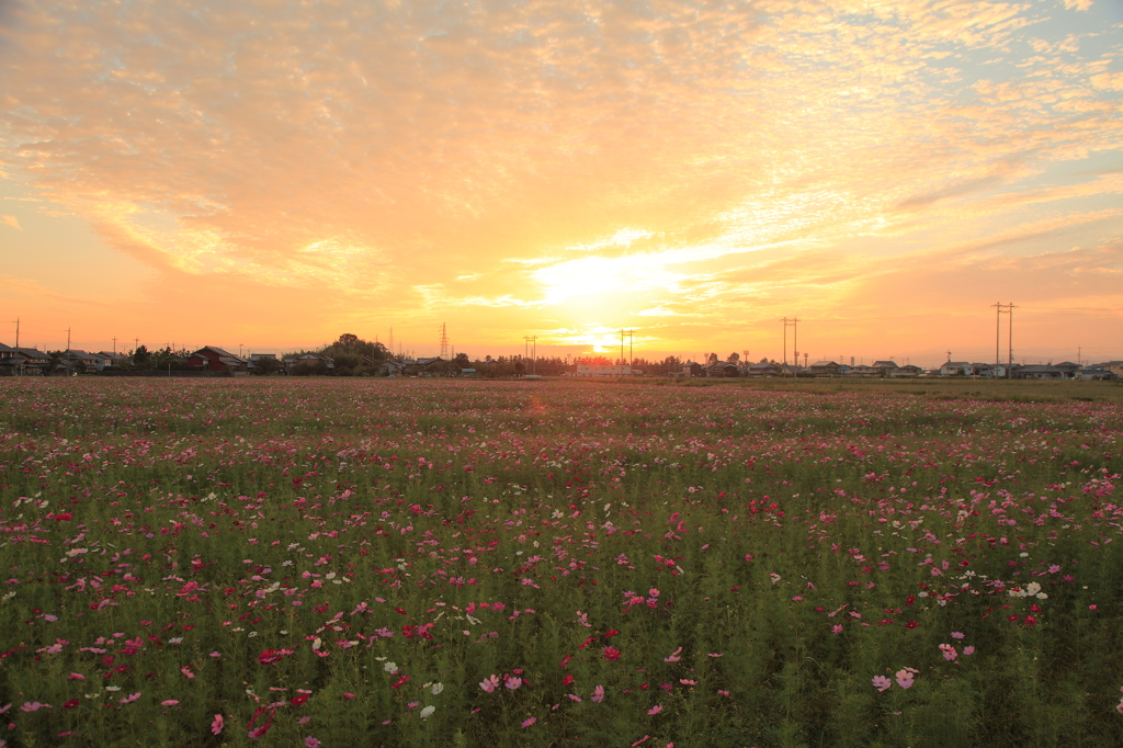 夕焼け雲
