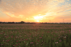 夕焼け雲
