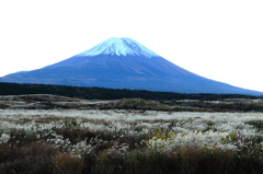 秋の富士の裾野