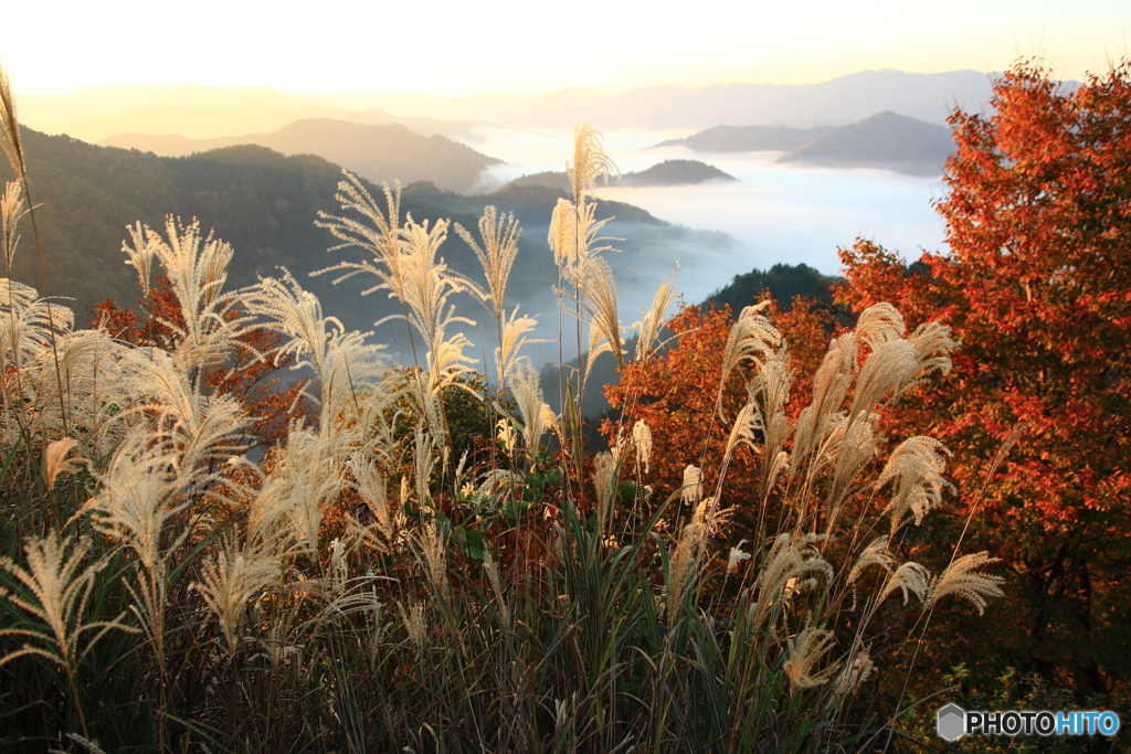 秋の絶景