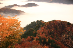 すばらしき雲海と紅葉