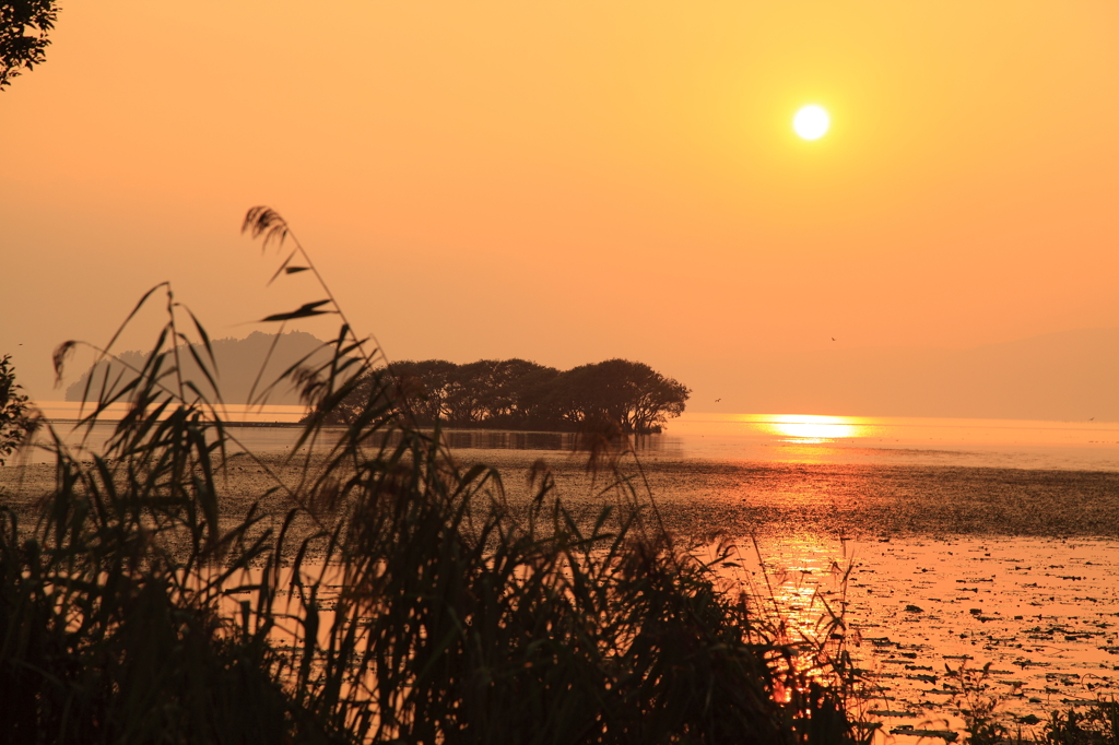 夕焼け百選の風景
