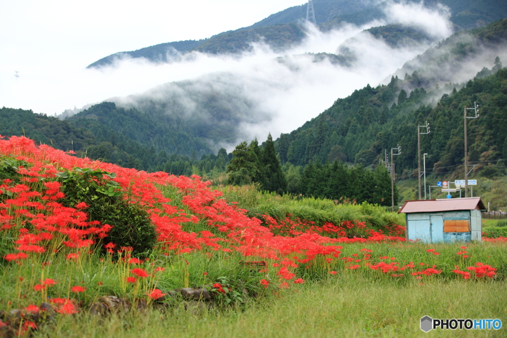 田舎の秋