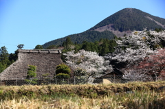 タイムスリップ「山里の春」