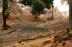ピンクの花模様道
