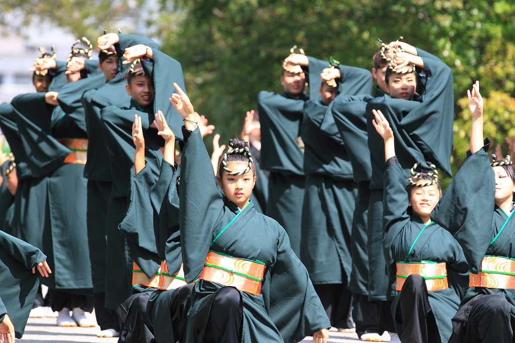 あっぱれ祭り（よさこい①）「凛々し」