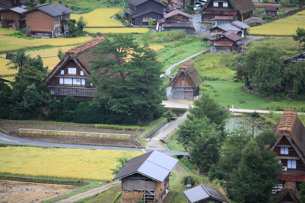 高台から見る合掌造り「和田家」