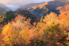 光に輝く