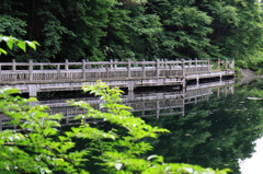 池の桟橋