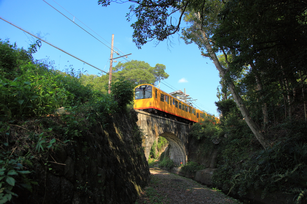 幸せを運ぶ電車