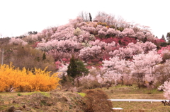 追悼「福島の春」