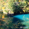 映り込み