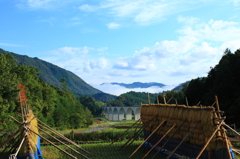 秋の田園風景