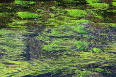清川の流れ
