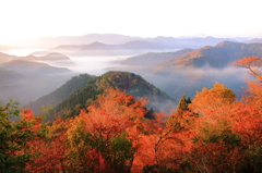紅葉と雲海②