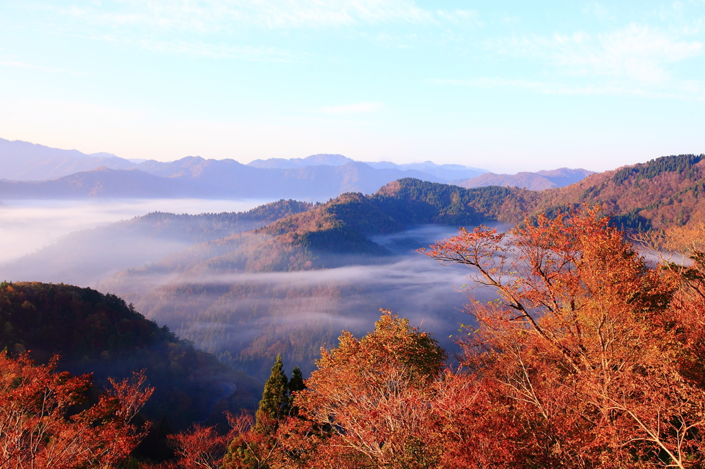 晩秋の山景色