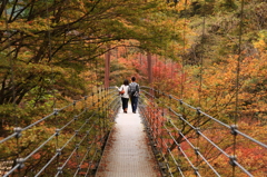 紅葉の中の二人