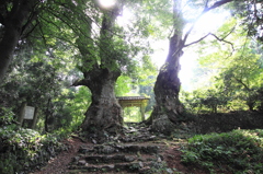 悠久の歴史の石段